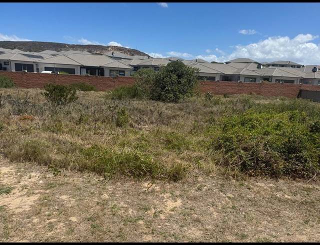 LAND FOR SALE IN DIAZ
